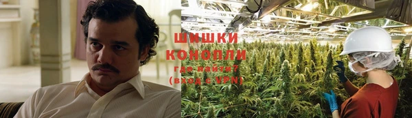 apvp Вяземский