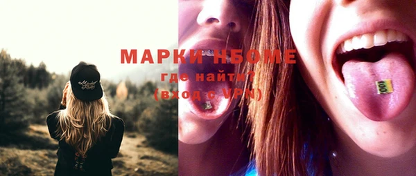 apvp Вяземский