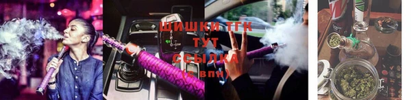 apvp Вяземский