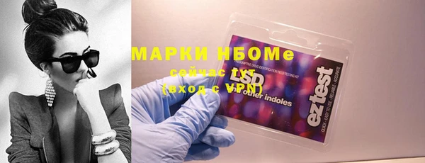 apvp Вяземский