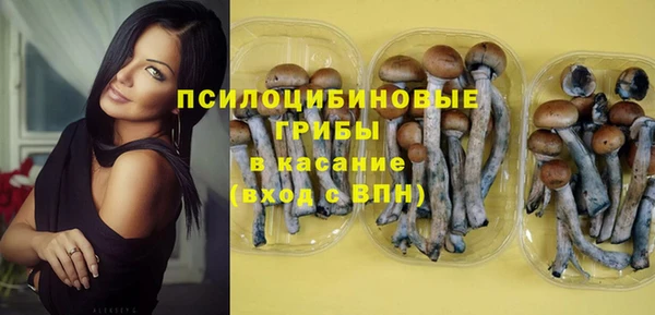 эйфоретик Вязьма