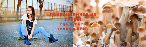 ALPHA PVP Слюдянка